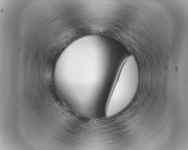X0000089910608200706290731