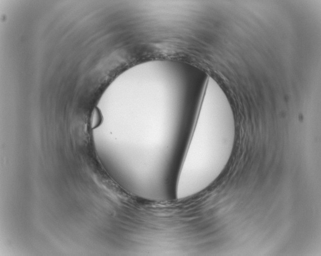 X0000089910615200706290731