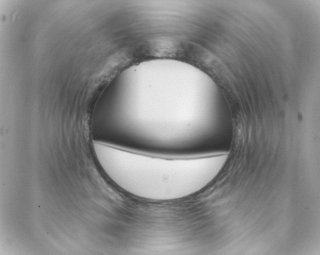 X0000089910620200706290731
