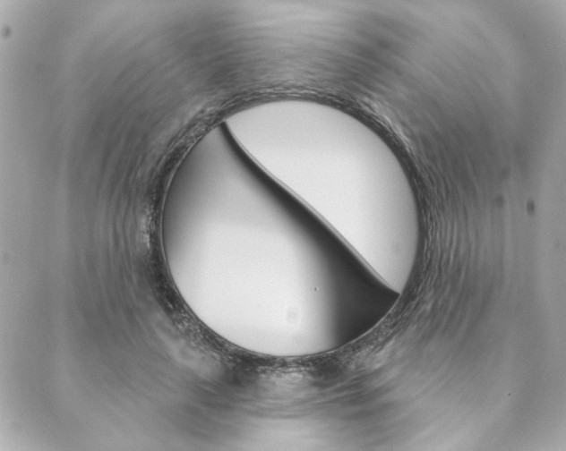 X0000089910643200706290730