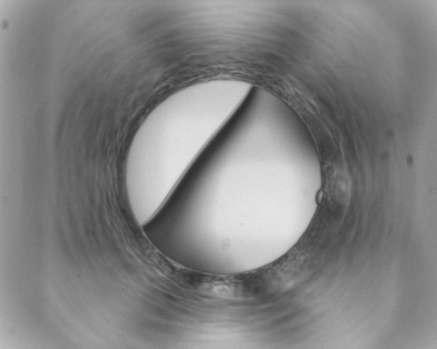 X0000089910655200706290730