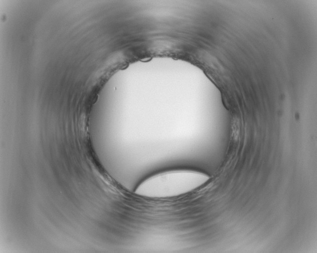 X0000089910670200706290731