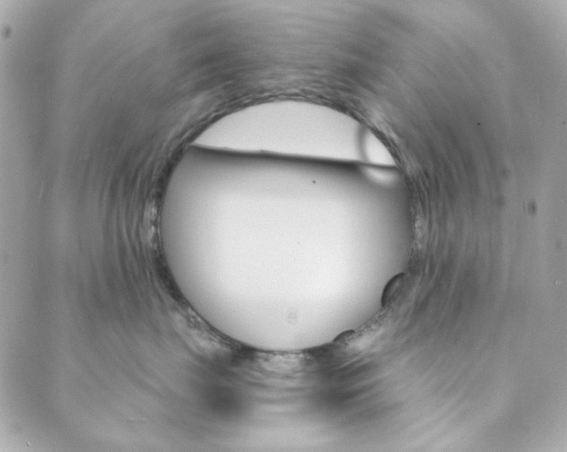 X0000089910671200706290731