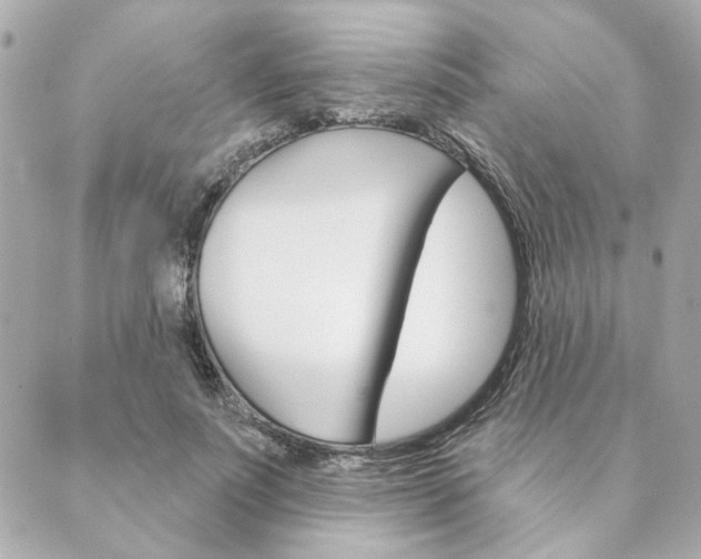 X0000089910691200706290730