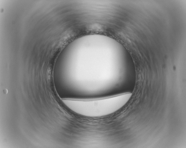 X0000089910708200706290729
