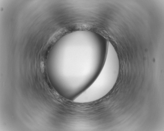 X0000089910716200706290729