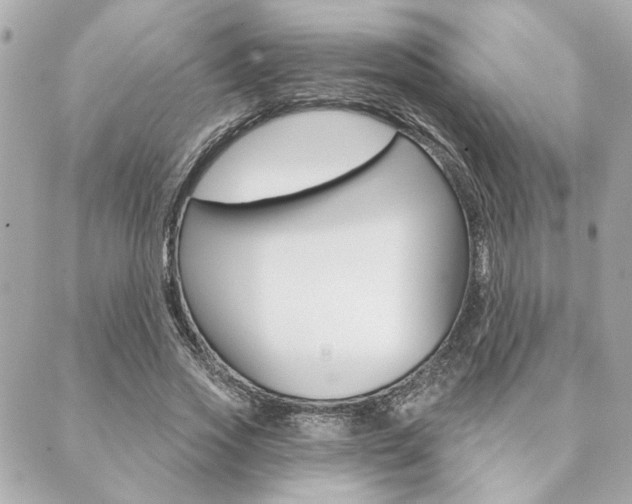 X0000089910733200706290729