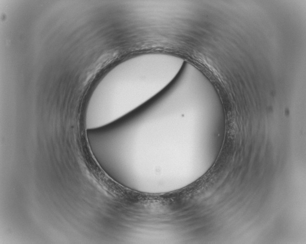 X0000089910738200706290729
