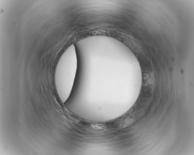 X0000089910753200706290729