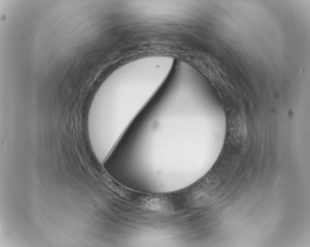 X0000089910755200706290729