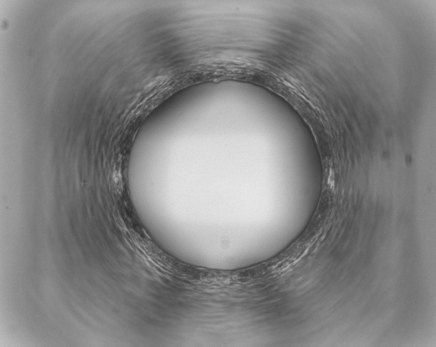 X0000089910771200706290728