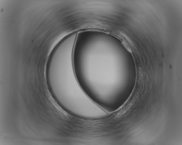 X0000089910788200706290728