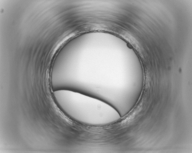 X0000089910798200706290728