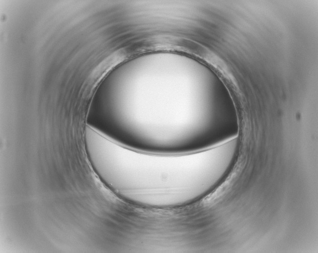 X0000089910801200706290728