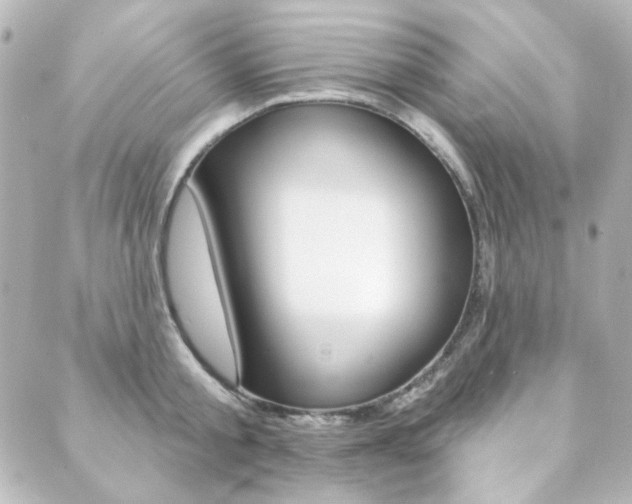 X0000089910805200706290728