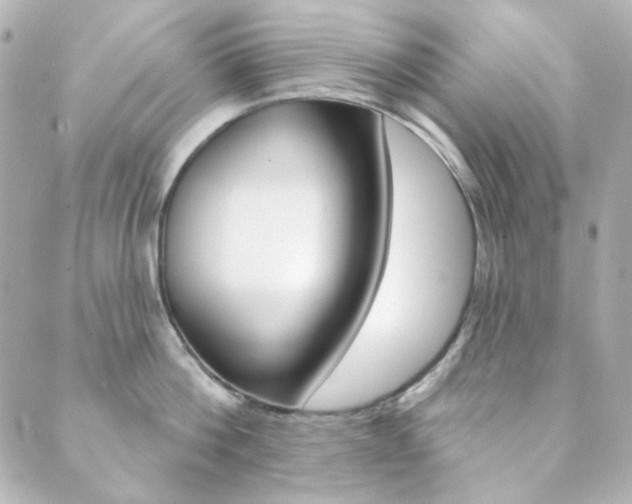 X0000089910812200706290728