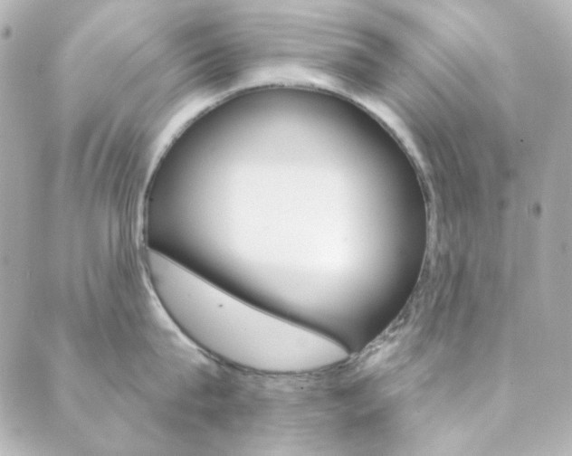 X0000089910815200706290728