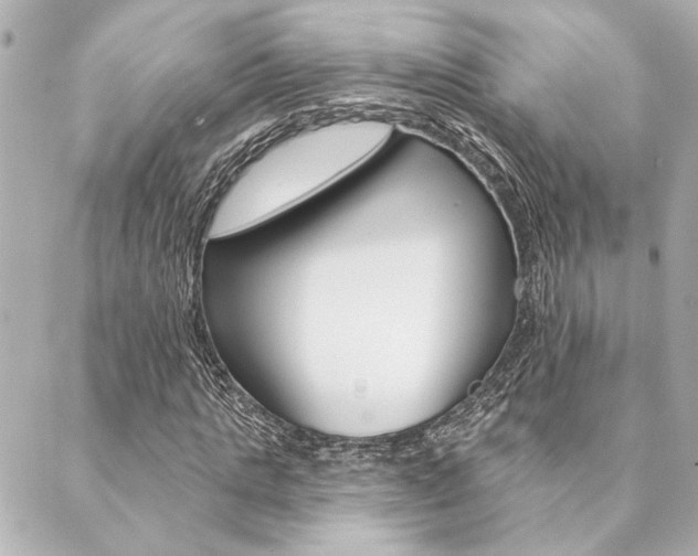 X0000089910821200706290727