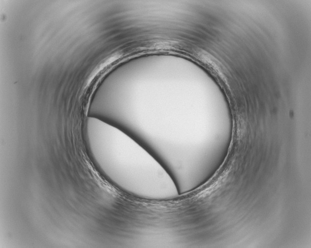 X0000089910827200706290727