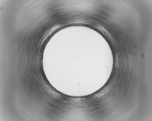 X0000089910828200706290727
