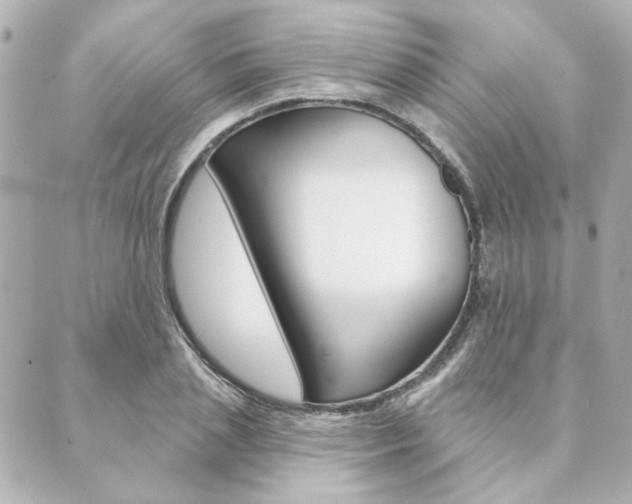 X0000089910837200706290727