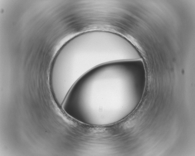 X0000089910846200706290727