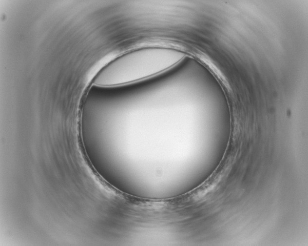 X0000089910853200706290727