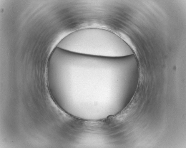 X0000089910863200706290728