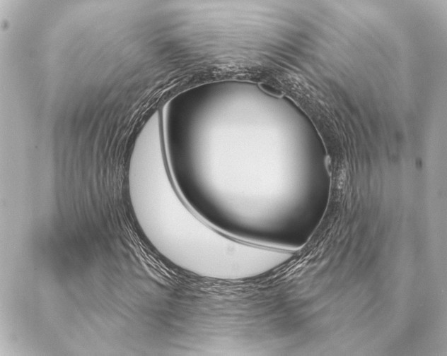 X0000089910868200706290727