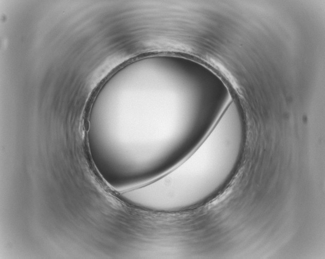 X0000089910885200706290726