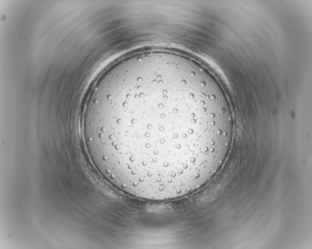 X0000089910887200706290726