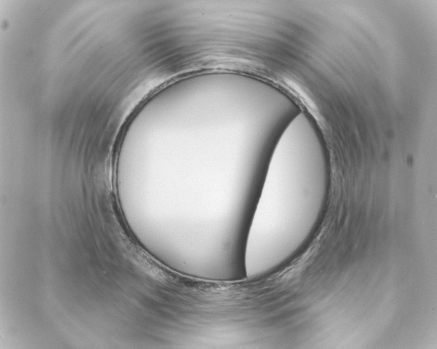 X0000089910891200706290726