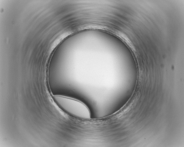 X0000089910898200706290726