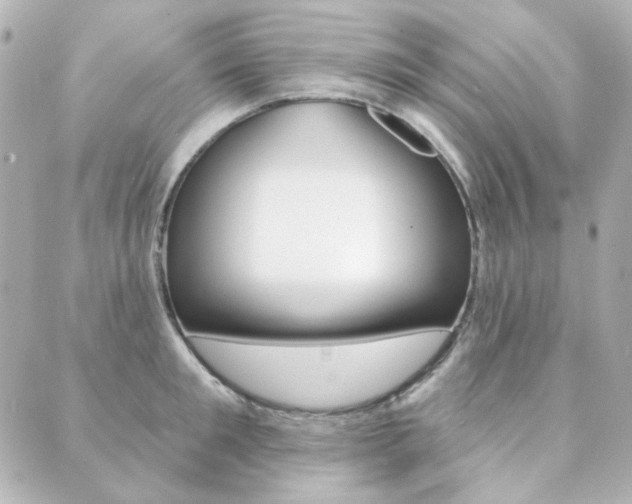 X0000089910901200706290726