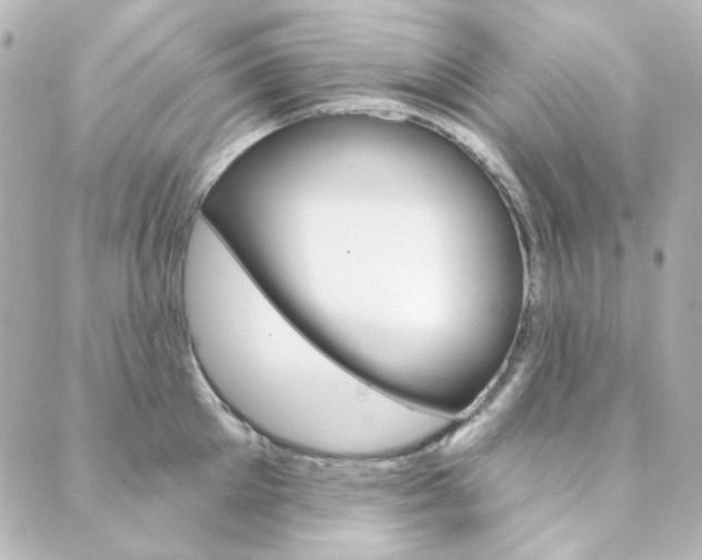 X0000089910905200706290726