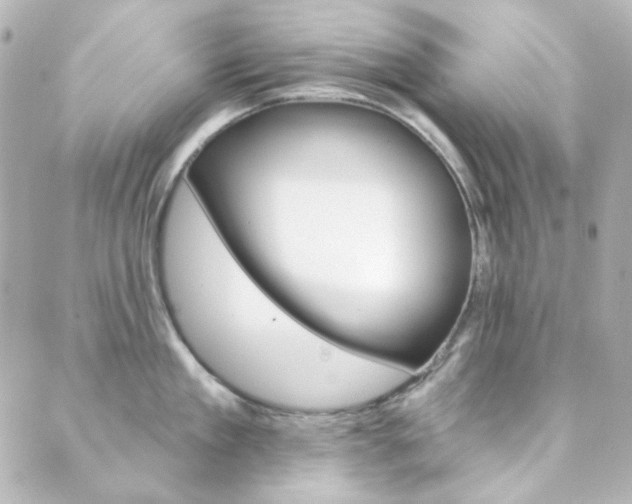 X0000089910909200706290726
