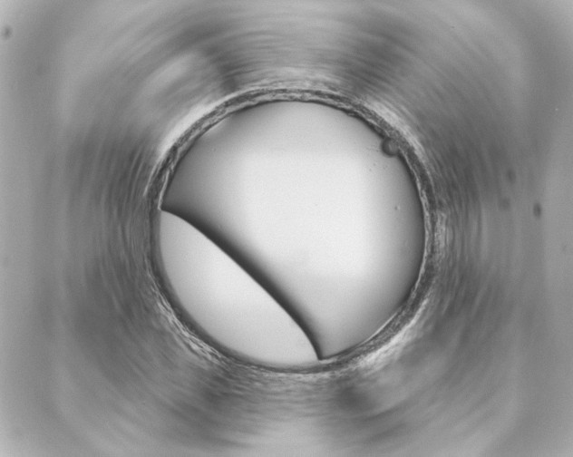X0000089910925200706290725