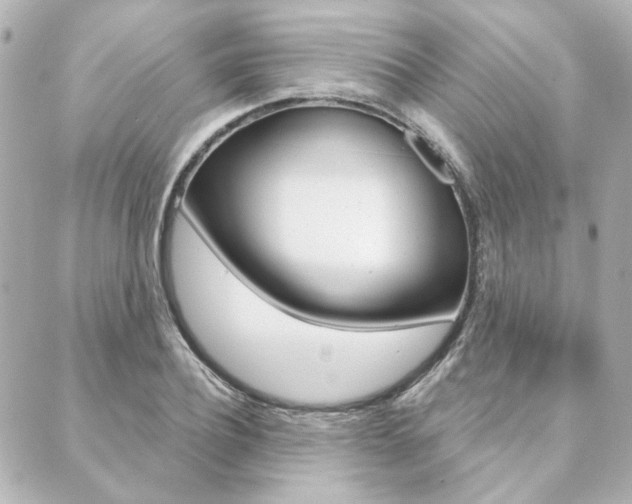 X0000089910932200706290726