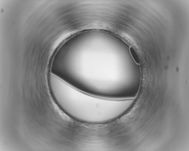 X0000089910942200706290726