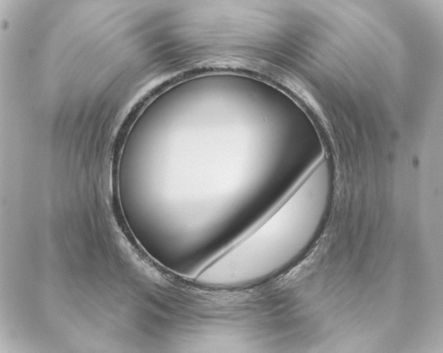 X0000089910984200706290725