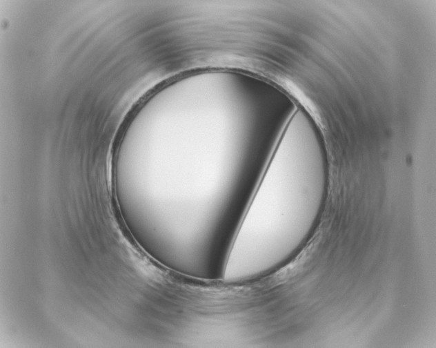 X0000089910988200706290725