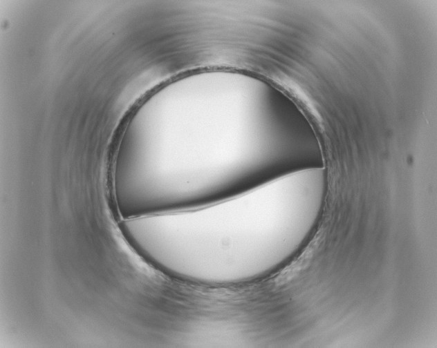 X0000089910991200706290725