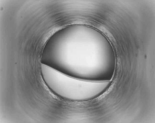 X0000089910993200706290725
