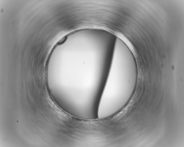 X0000089911004200706290725