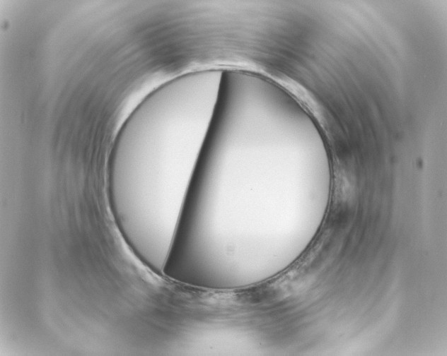 X0000089911006200706290725