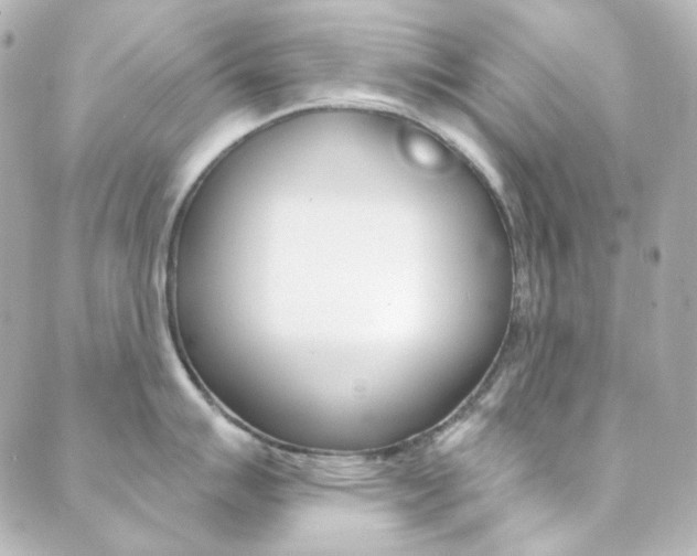 X0000089911007200706290725