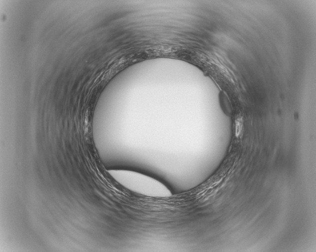 X0000089911011200706290724