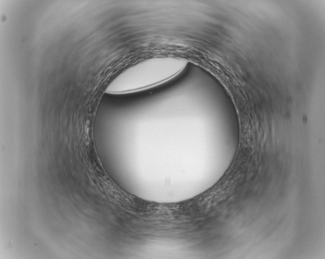 X0000089911013200706290724