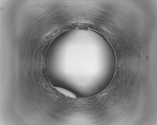 X0000089911014200706290724