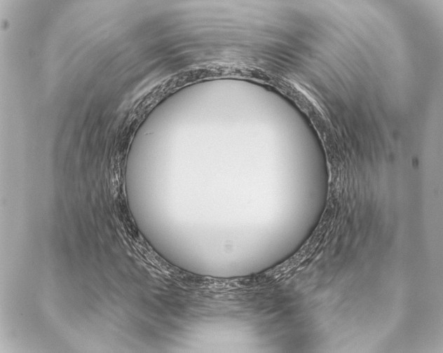 X0000089911015200706290724